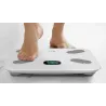 Nexxt Solutions Connectivity – battery body scale