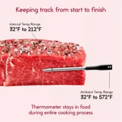 TERMOMETRO CHEF IQ INALAMBRICO 2 SONDAS SMART BT WIFI PARA PROTEINA NEGRO